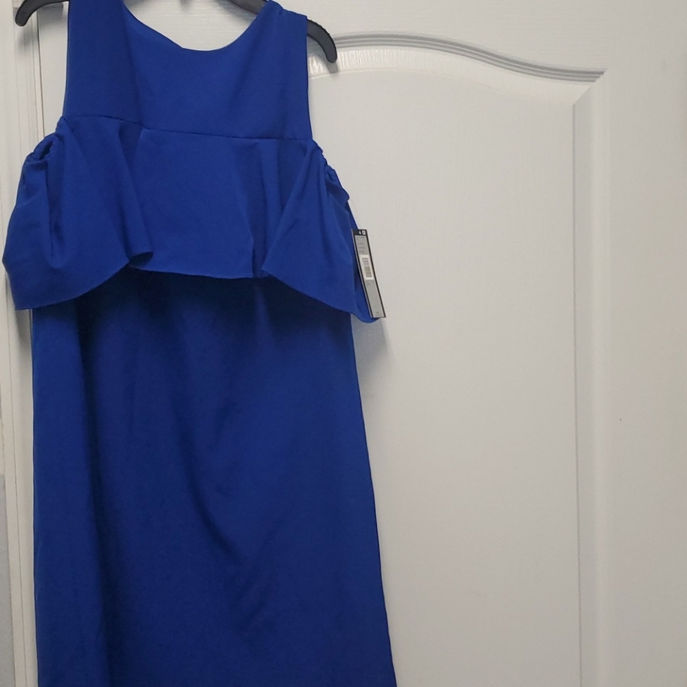 Tahari Arthur S. Levine Dress